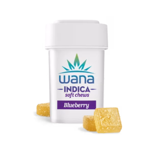 Blueberry (Med) // Indica